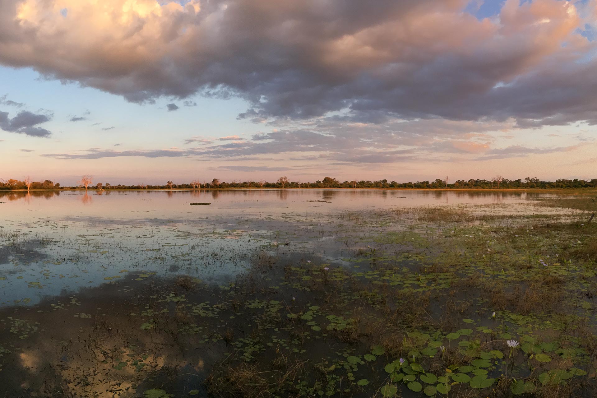 Chobe Nationalpark in Botswana