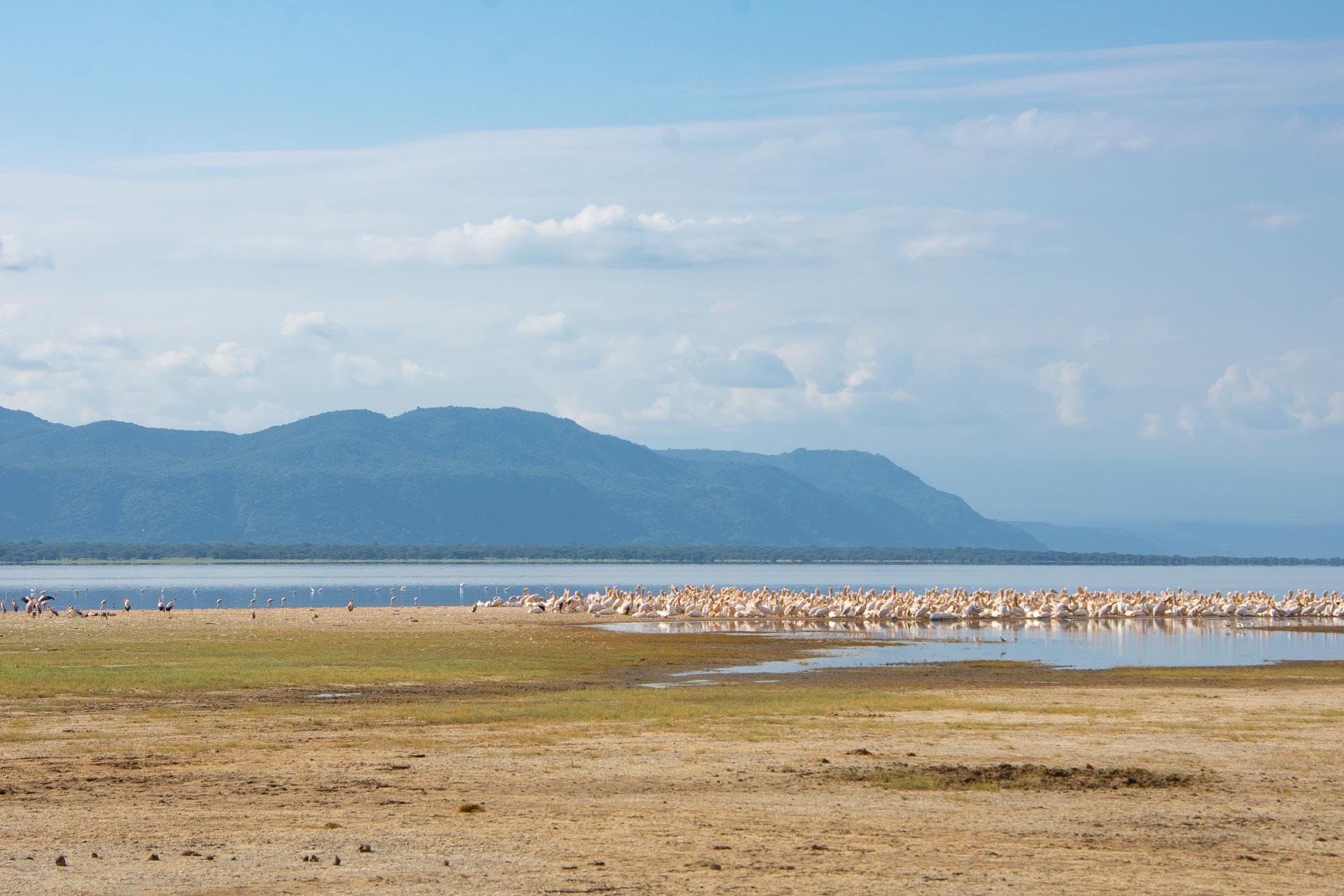Lake Manyara in Tansania