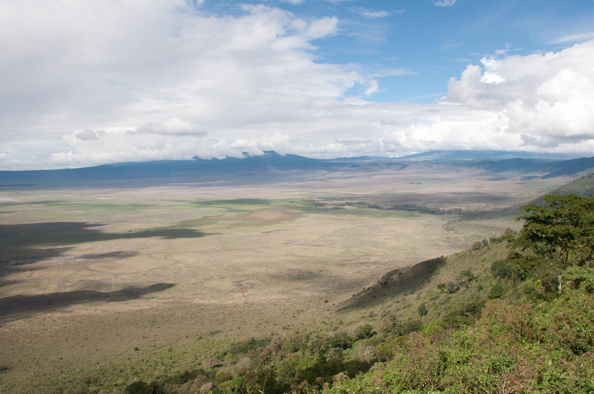 Ngorongoro Conservation in Tansania