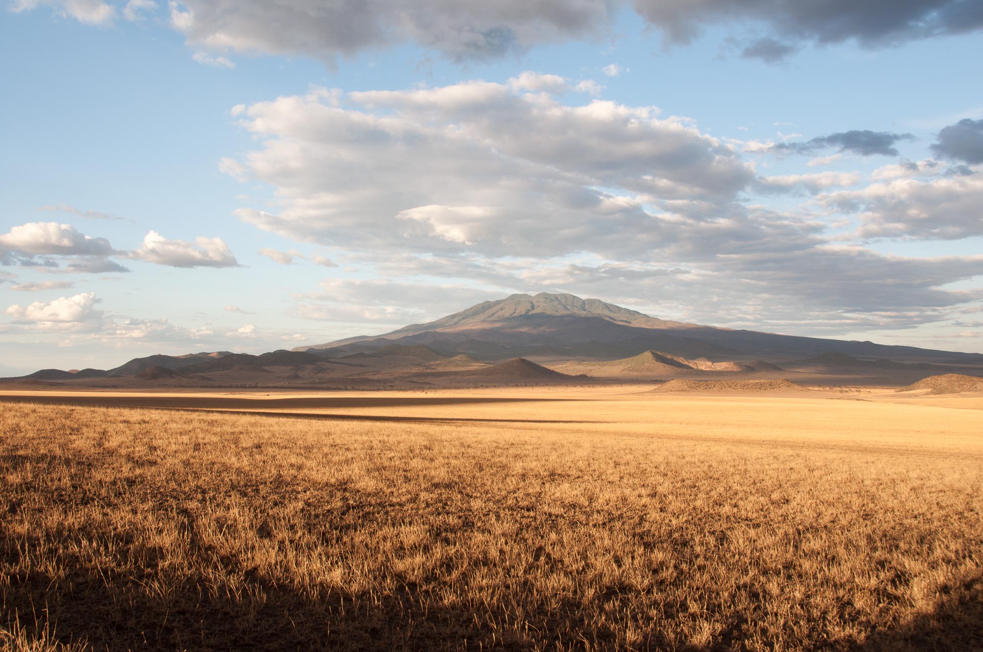 Ngorongoro Conservation in Tansania  - Globetrotter Select