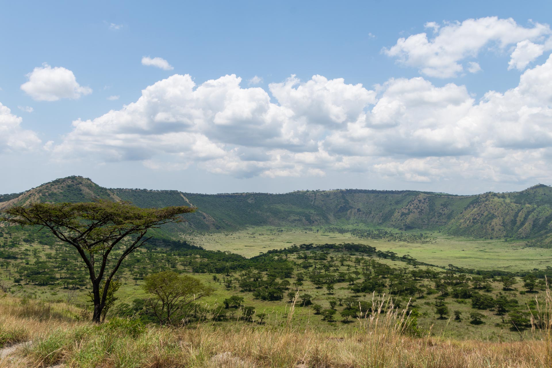 Queen Elisabeth Nationalpark in Uganda