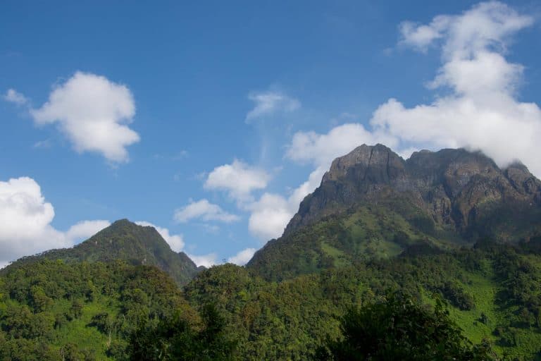 Besteigung des Ruwenzori Gebirge in Uganda - Globetrotter Select