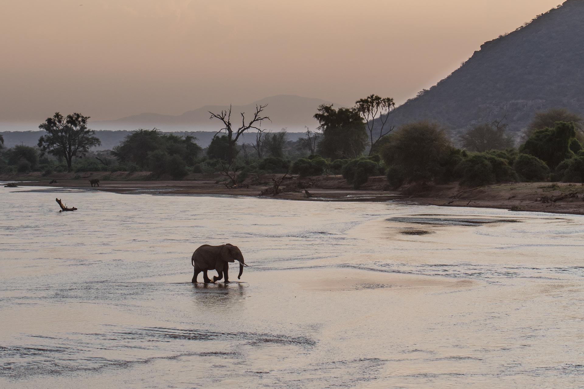 Samburu Nationalpark in Kenia
