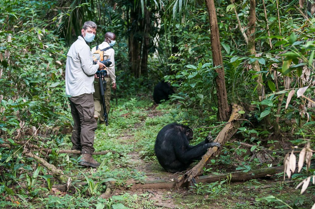 Schimpansen Safari im Mahale Nationalpark in Tansania