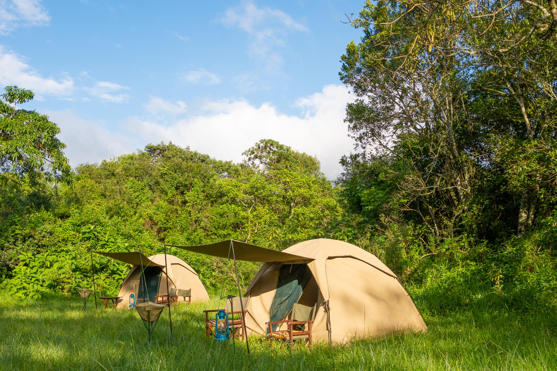 Standard Zelt Safari in Tansania - Globetrotter Select