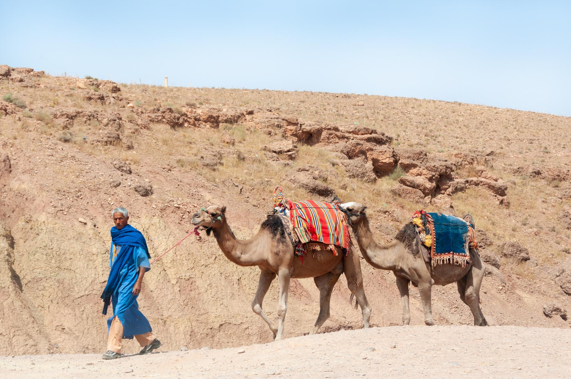 Strasse der Kasbahs in Marokko - Globetrotter Select